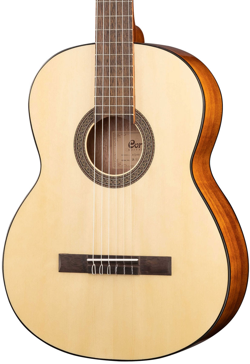 AC100-SG-2.jpg